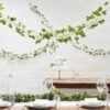 Ginger Ray Decoratieve Klimop | Beautiful Botanic -Ginger Ray || Floris van Bommel || Revitalash Verkoop bb 212 decorative vine 3