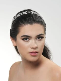 Poirier BB-668 Tiara -Ginger Ray || Floris van Bommel || Revitalash Verkoop bb 668 029 bb 668 029 07