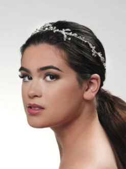 Poirier BB-671 Haarstreng Zilver -Ginger Ray || Floris van Bommel || Revitalash Verkoop bb 671 029 bb 671 029 06