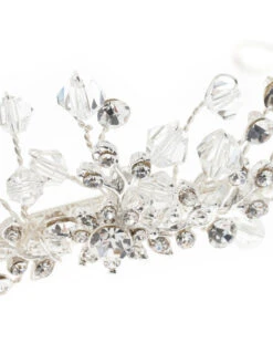 Poirier BB-790 Tiara -Ginger Ray || Floris van Bommel || Revitalash Verkoop bb 790 nvt bb 790 029 03