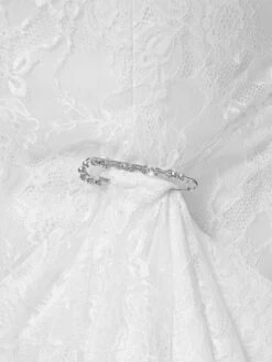 Poirier BB-910 Sleepspeld Zilver -Ginger Ray || Floris van Bommel || Revitalash Verkoop bb 910 nvt 03