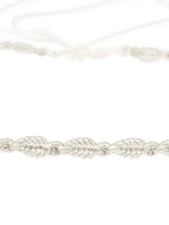 Poirier Ceintuur C-1528 -Ginger Ray || Floris van Bommel || Revitalash Verkoop c 1528 002 c 1528 002 05