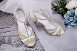 G. Westerleigh Bruidsschoenen Corinne Champagne -Ginger Ray || Floris van Bommel || Revitalash Verkoop g. westerleigh brautschuhe corinne champ 5 1