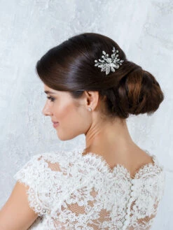 J3261 Haarkam - G. Westerleigh