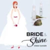 Bride & Shine Dress Cleaner