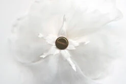 Poirier HT-201-Ivory Bloem -Ginger Ray || Floris van Bommel || Revitalash Verkoop ht 201 002 organza magnet