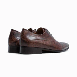 Paulo Bellini Palermo Trouwschoenen Heren Bruin -Ginger Ray || Floris van Bommel || Revitalash Verkoop paulo bellini palermo mens wedding shoes brown 3