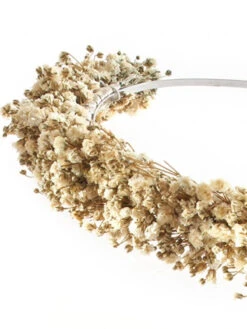 Poirier BB-622 Bloemen Diadeem -Ginger Ray || Floris van Bommel || Revitalash Verkoop poirier bb 622 tiara 4