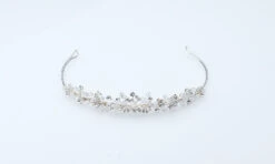 Poirier BB-790 Tiara -Ginger Ray || Floris van Bommel || Revitalash Verkoop poirier bb 790 nvt 2 tiara 1