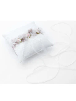 Poirier KB-180 Ringkussen