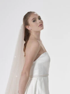 Poirier S47-300-1-Blush Sluier -Ginger Ray || Floris van Bommel || Revitalash Verkoop poirier s47 300 1 blush veil 3