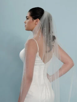 Poirier S401-120-1-Soft Sluier -Ginger Ray || Floris van Bommel || Revitalash Verkoop s401 120 1 soft 002 s401 120 002 04