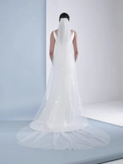 Poirier S52-300-1-SOFT Sluier -Ginger Ray || Floris van Bommel || Revitalash Verkoop s52 300 1 soft 002 s49 300 002 02