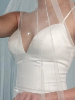 Poirier S713-350-1-Soft Sluier -Ginger Ray || Floris van Bommel || Revitalash Verkoop s713 350 1 soft 002 s713 350 002 03 1