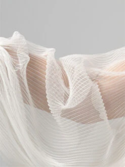 Poirier SL-001 Plissé Mouwen -Ginger Ray || Floris van Bommel || Revitalash Verkoop sl 001 002 sl 001 002 03